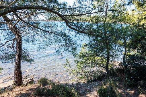Hotel and Restaurant Cavalaire Seaside 4-star Hotel Var Cavalaire-sur-Mer
